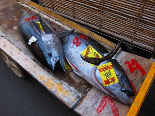 tsukiji1.jpg